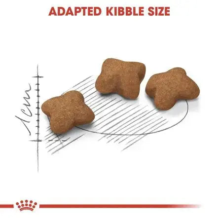 Royal Canin Feline Health Nutrition Kitten Sterilised Cat Food 2kg Royal Canin