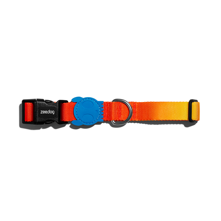 Zee Dog Solaris Collar
