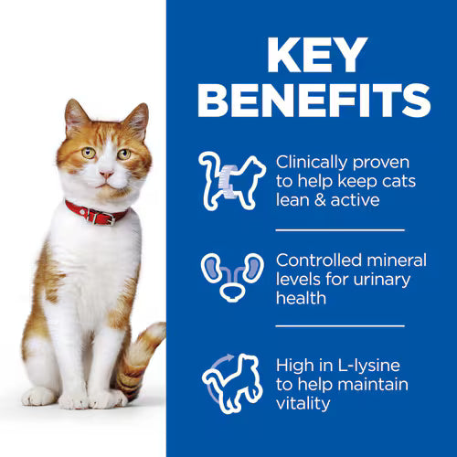 Hill's Science Plan Sterilised Cat Young Adult Cat Food with Chicken Pouch 85g Hills