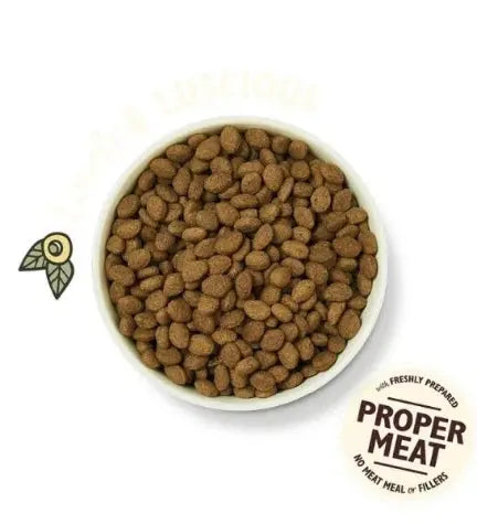 Lily's Kitchen Adult Shepherd's Pie with Lamb Potatoes & Parsley Adult Dry Dog Food Lily's Kitchen