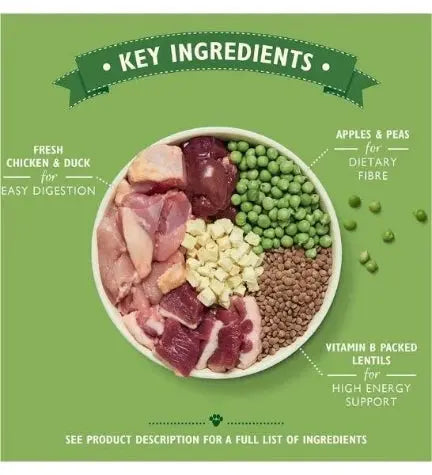 Lily's Kitchen Countryside Casserole with Chicken, Duck & Sweet Potatoes Adult Dry Dog Food Lily's Kitchen