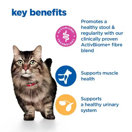 Hill’s Vet Essentials Multi-Benefit + Digestion Adult Cat Dry Food With Salmon 1.5kg Hills